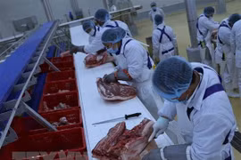 河南肉类制品加工厂建设项目竣工仪式在河南举行