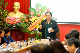 国会副主席丛氏放到越南社会保险机构调研
