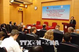 越南与丹麦举行关于预防非传染性疾病的座谈会