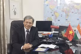 越南驻印度大使：越印全面战略伙伴关系发展势头日益强劲
