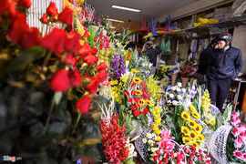 美丽鲜花带着花农们的诚意