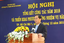 2018年胡志明市对外工作取得许多良好成效