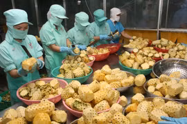 越南对中国的水产品出口前景乐观