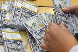 2018年上半年胡志明市侨汇收入达24.5亿美元