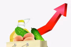2018年全年居民消费价格指数平均上涨3.54%