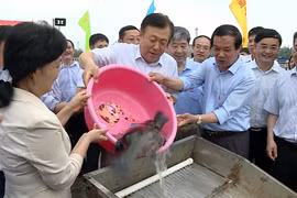 越中携手推动北部湾渔业资源可持续利用与发展