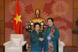 加强越老两国国会民族委员会的合作