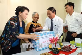 越南国会主席阮氏金银在海防市调研