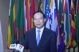 越南陈述履行《联合国反酷刑公约》照应性规定所采取的措施报告