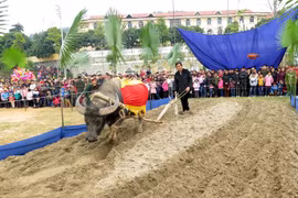 越南宣光省隆东节热闹登场