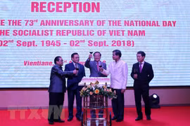 越南驻外大使馆纷纷举行九二国庆节庆祝活动