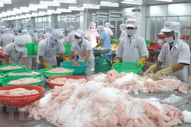 前9月前江省出口额达19.9亿美元