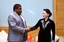 越南国会主席阮氏金银会见各国议会联盟秘书长马丁·纯贡