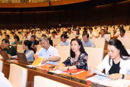 越南第十四届国会第五次会议：调整财政预算管理方式 保障中央财政预算收入