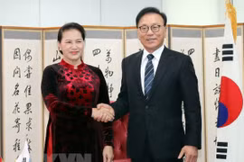 阮氏金银会见越南驻韩国釜山和庆尚南道地区名誉总领事