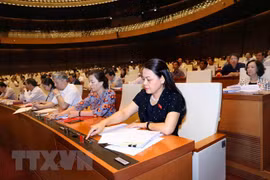 国会发布2019年法律法令制定计划