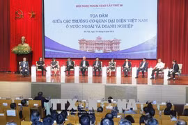 为越南企业走出国门营造便利环境