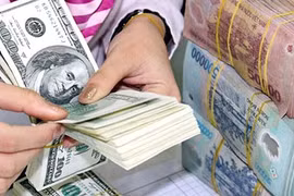 26日越盾兑美元汇率大幅下降 英镑汇率涨跌互现