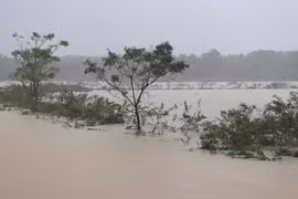 越南中部洪灾致6人死伤失踪，当地经济损失严重