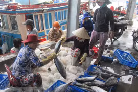 全国水产品捕捞产量喜获丰收