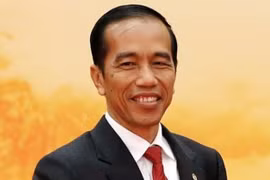 印度尼西亚总统即将对越南进行国事访问