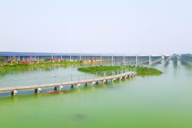 西宁省努力加快各太阳能发电厂项目施工进度