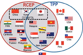 新加坡和印度尼西亚敦促印度加速RCEP谈判