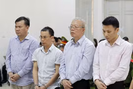 越南石油石化和纺织纤维合资公司前董事长获刑28年