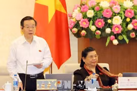 越南第十四届国会常务委员会：自2019年1月1日起《规划法》正式生效