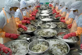 展开落实到2025年越南虾产业发展行动计划