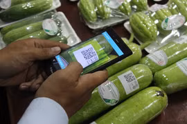  岘港市试点展开在食品包装贴上可追溯标签