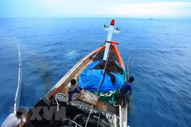 越南力争按照可持续模式发展渔业