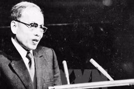 1968戊申年春季总进攻和崛起和外交攻势