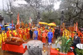 新年伊始越南各地传统春节庙会纷纷热闹登场