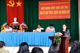 国会主席阮氏金银：选民们提出的意见将成为国会代表讨论的问题
