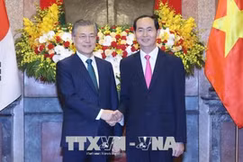 越南国家主席陈大光与韩国总统文在寅共同召开记者会