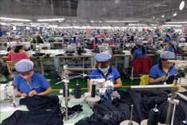 印度将越南视为实现纺织品出口市场多样化的目的地
