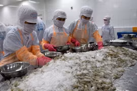 坚江省提高出口产品的竞争力