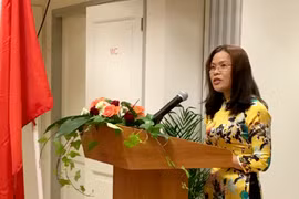 越南驻荷兰大使：越荷关系将日益向前发展造福两国人民