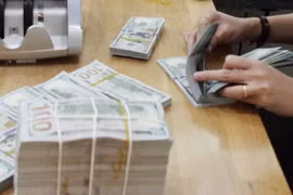 9日越盾兑美元中心汇率上涨5越盾