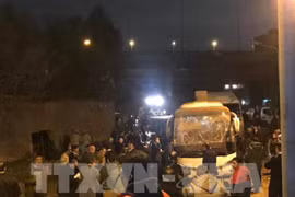 越南游客在埃及金字塔附近遇袭事件：尽快办理手续将所有越南游客送回国