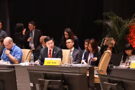 越南政府副总理兼外长范平明出席APEC外交和贸易部长级会议 
