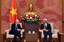 越南国会副主席汪周刘会见英国议会IPU议员小组