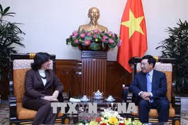 越南政府副总理兼外长范平明会见古巴新任驻越大使
