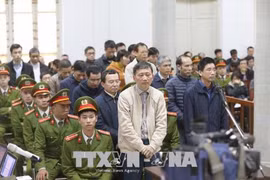 郑春青及其同案犯案件：检察院建议判处郑春青终身监禁