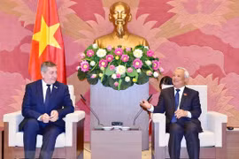 越南与罗马尼亚推动两国关系取得到更大发展