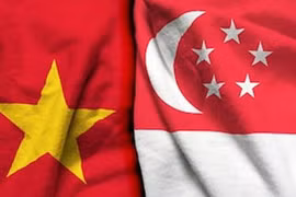 进一步加强越南与新加坡的经济与文化对接