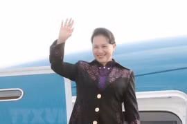 国会主席阮氏金银圆满结束各国议会联盟第138届大会活动和荷兰访问之旅活动