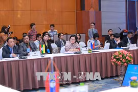 第20届东盟-印度高官会议在河内举行