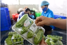 岘港市试点展开在食品包装上印上二维码